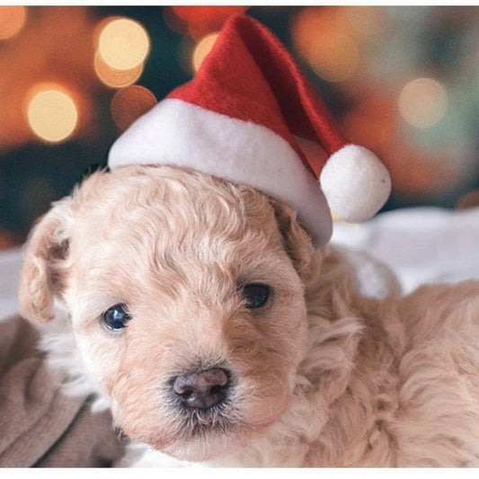 Dog Cat Christmas hat Clothes small hat Pet hat Christmas pet hat Christmas decorations