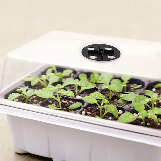 6/12Grids Seed Starter Tray with Ventilation Hole Seeds Growing Cultivation Planting Box Mini Greenhouse Plant Starter Kit