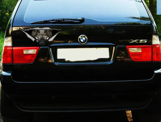 Wild Boar car Decal, Wild Boar Magnet, funny car decal , animal Decal, Vinyl Decal