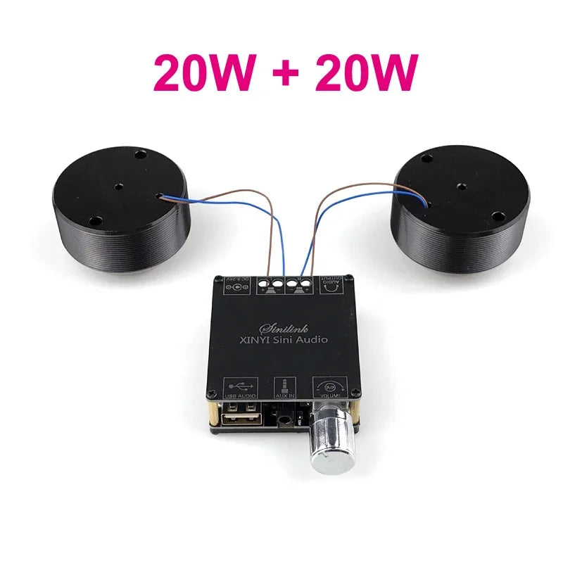 2*25W Audio Portable Resonance Vibration Speaker Bluetooth-Compatible DIY Stereo Class D Power Amplifier Subwoofer HiFi System