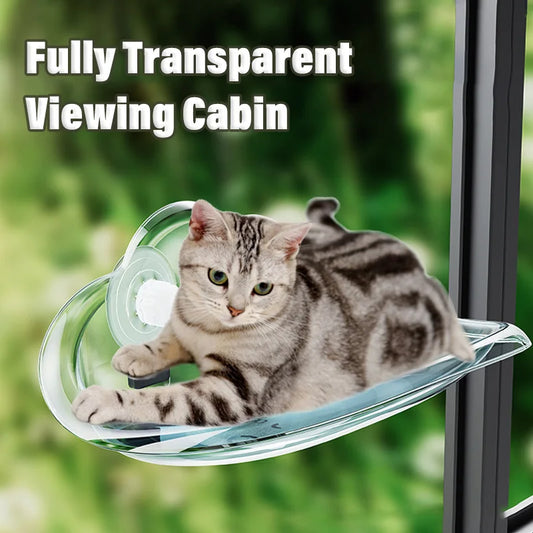 New Transparent Cloud Shape Cat Bed Strong Suction Cup Load Capacity 10KG Cat Climbing Frame Semi Open Cats Playing Pet Supplies
