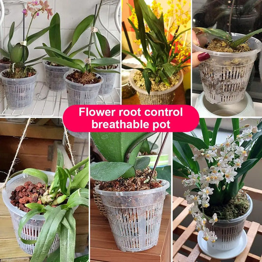 Net Basin Root-control Flowerpot Transparent Ground Basin Green Plant Orchid Breathable Growth Container Drainage Hole Flowerpot