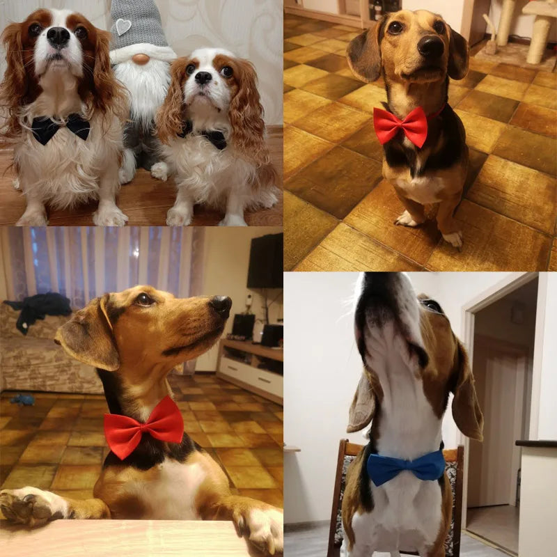 Pet Dog Cat Necklace Adjustable Neck Band Cute Bowknot Pet Care Accessories Dog Cat Striped Bow Necklace Pet Supplies