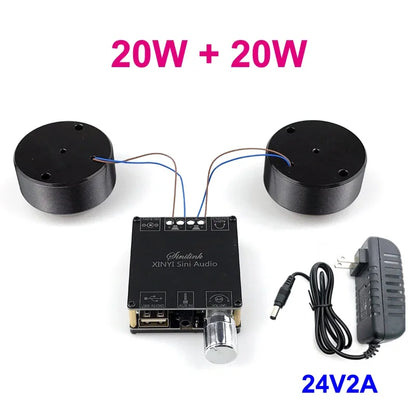 2*25W Audio Portable Resonance Vibration Speaker Bluetooth-Compatible DIY Stereo Class D Power Amplifier Subwoofer HiFi System