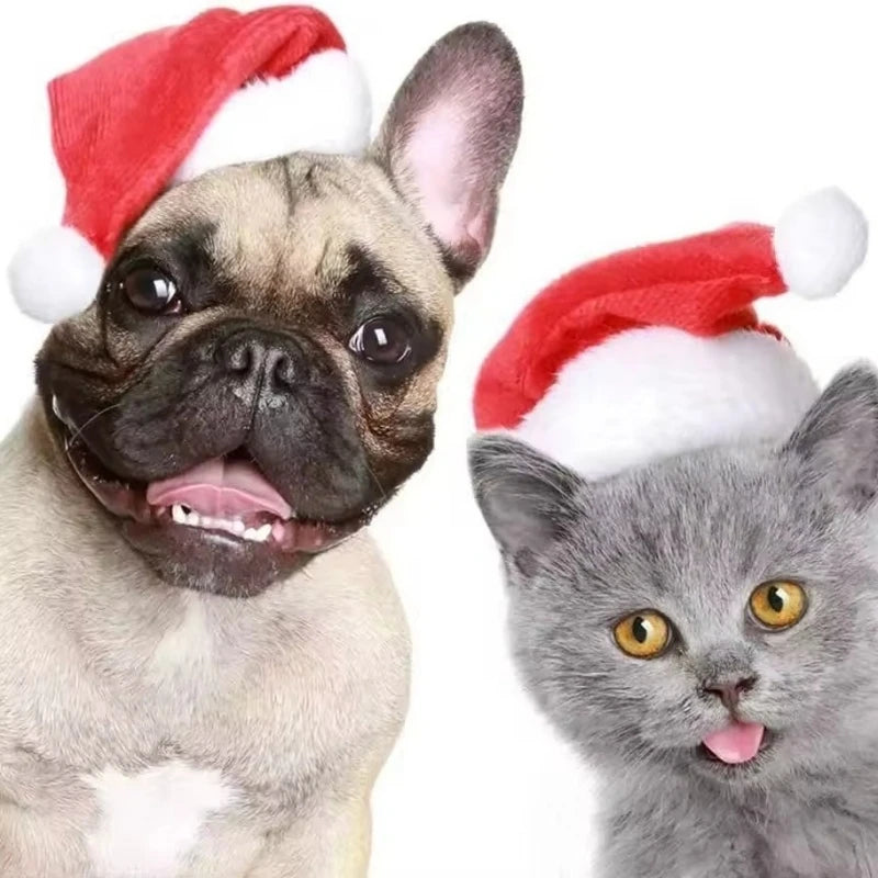 Dog Cat Christmas hat Clothes small hat Pet hat Christmas pet hat Christmas decorations