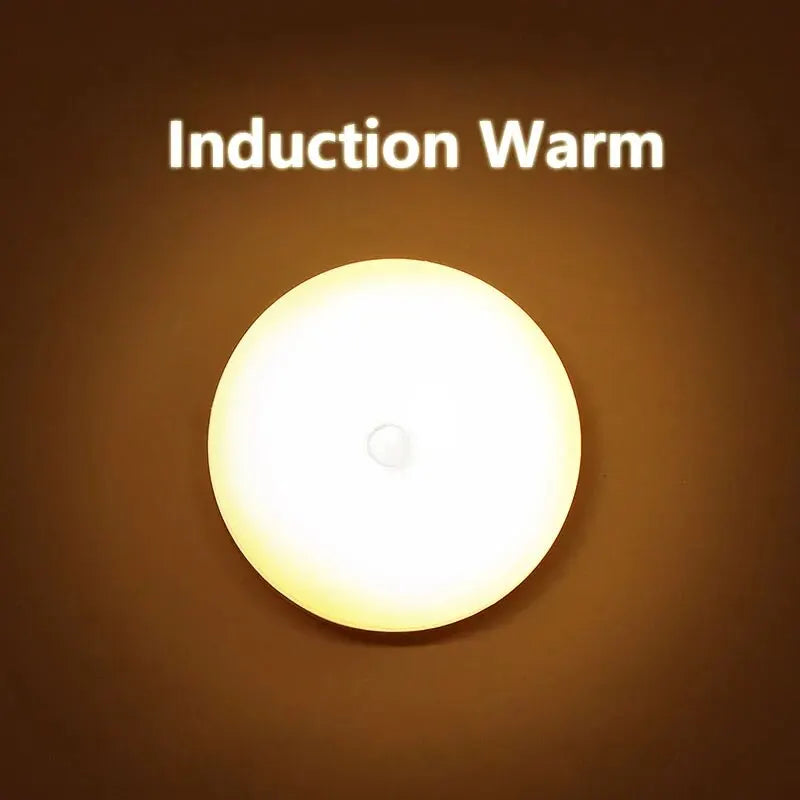 Human Intelligent Light Portable LED Night USB Charging Induction Emergency Bedside Cabinet WardrobeAutomatic Switch Lighting