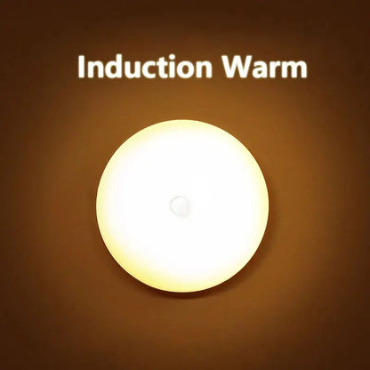 Human Intelligent Light Portable LED Night USB Charging Induction Emergency Bedside Cabinet WardrobeAutomatic Switch Lighting