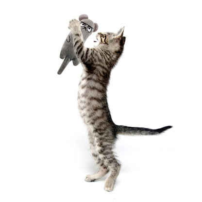 Newest Hot Cat Toys Funny Interactive Plush Cat Toy Mini Teeth Grinding Catnip Toys Kitten Chewing Squeaky Toy Pets Accessories
