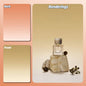 Gradient Color Photography Backdrops 57*87CM 2 Sided Photo Backgrounds Wallpaper Studio Waterproof Products Photographic Props