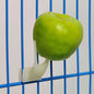 New 1 Pcs Birds Parrots Fruit Fork Pet Supplies Plastic Food Holder Shelf Feeding On Cage Pet Supplies Fruit Snacks Fork