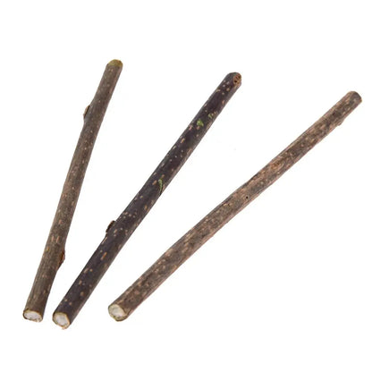 10Pcs Natural Catnip Cat Snacks Sticks Catnip Pet Cat Toys Silvervine Toothpaste Stick Cleaning Teeth tooth care