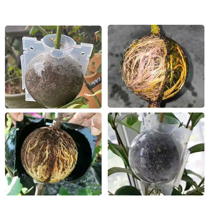 Plant Rooting Grow Ball Transplant Nursery Ball Sapling Propagation Grafting Breeding Reusable Case for Home Gardening Tools