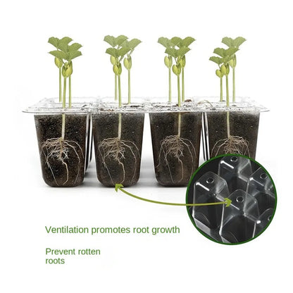6/12Grids Seed Starter Tray with Ventilation Hole Seeds Growing Cultivation Planting Box Mini Greenhouse Plant Starter Kit