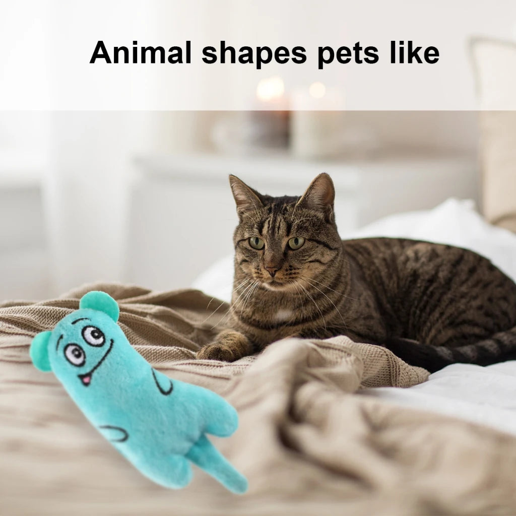 Newest Hot Cat Toys Funny Interactive Plush Cat Toy Mini Teeth Grinding Catnip Toys Kitten Chewing Squeaky Toy Pets Accessories
