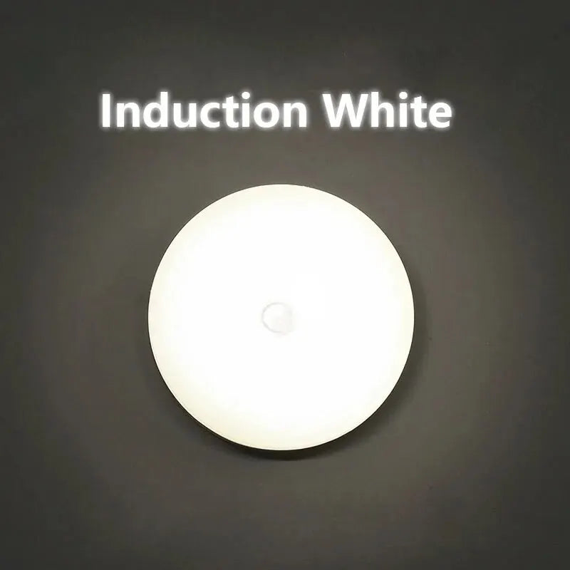 Human Intelligent Light Portable LED Night USB Charging Induction Emergency Bedside Cabinet WardrobeAutomatic Switch Lighting