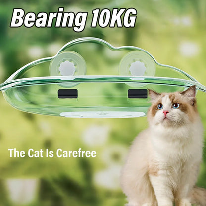 New Transparent Cloud Shape Cat Bed Strong Suction Cup Load Capacity 10KG Cat Climbing Frame Semi Open Cats Playing Pet Supplies