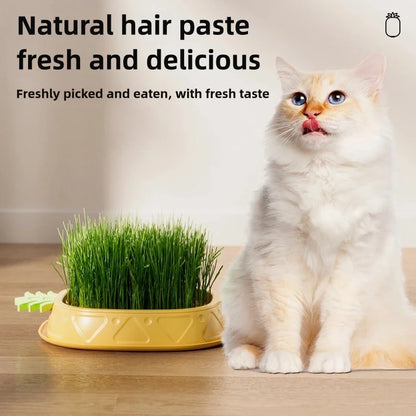 Hydroponic Cat Grass Planter Cat Grass Planter Tray Pineapple Design Plant Germination Tray Wheat Grass Growing Pot Nursery Cat