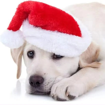 Dog Cat Christmas hat Clothes small hat Pet hat Christmas pet hat Christmas decorations