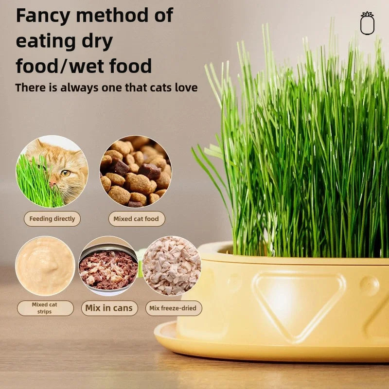 Hydroponic Cat Grass Planter Cat Grass Planter Tray Pineapple Design Plant Germination Tray Wheat Grass Growing Pot Nursery Cat