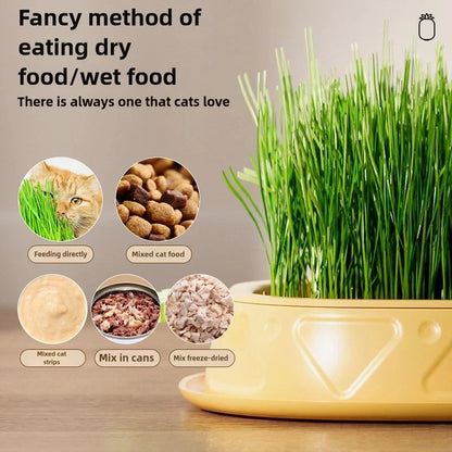 Hydroponic Cat Grass Planter Cat Grass Planter Tray Pineapple Design Plant Germination Tray Wheat Grass Growing Pot Nursery Cat