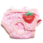 Pet Dog Shorts Sanitary Physiological Pants Cute Fruit Print Diaper Dog Shorts Washable Female Dog Panties Underwear Briefs DC05