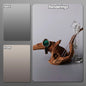Gradient Color Photography Backdrops 57*87CM 2 Sided Photo Backgrounds Wallpaper Studio Waterproof Products Photographic Props