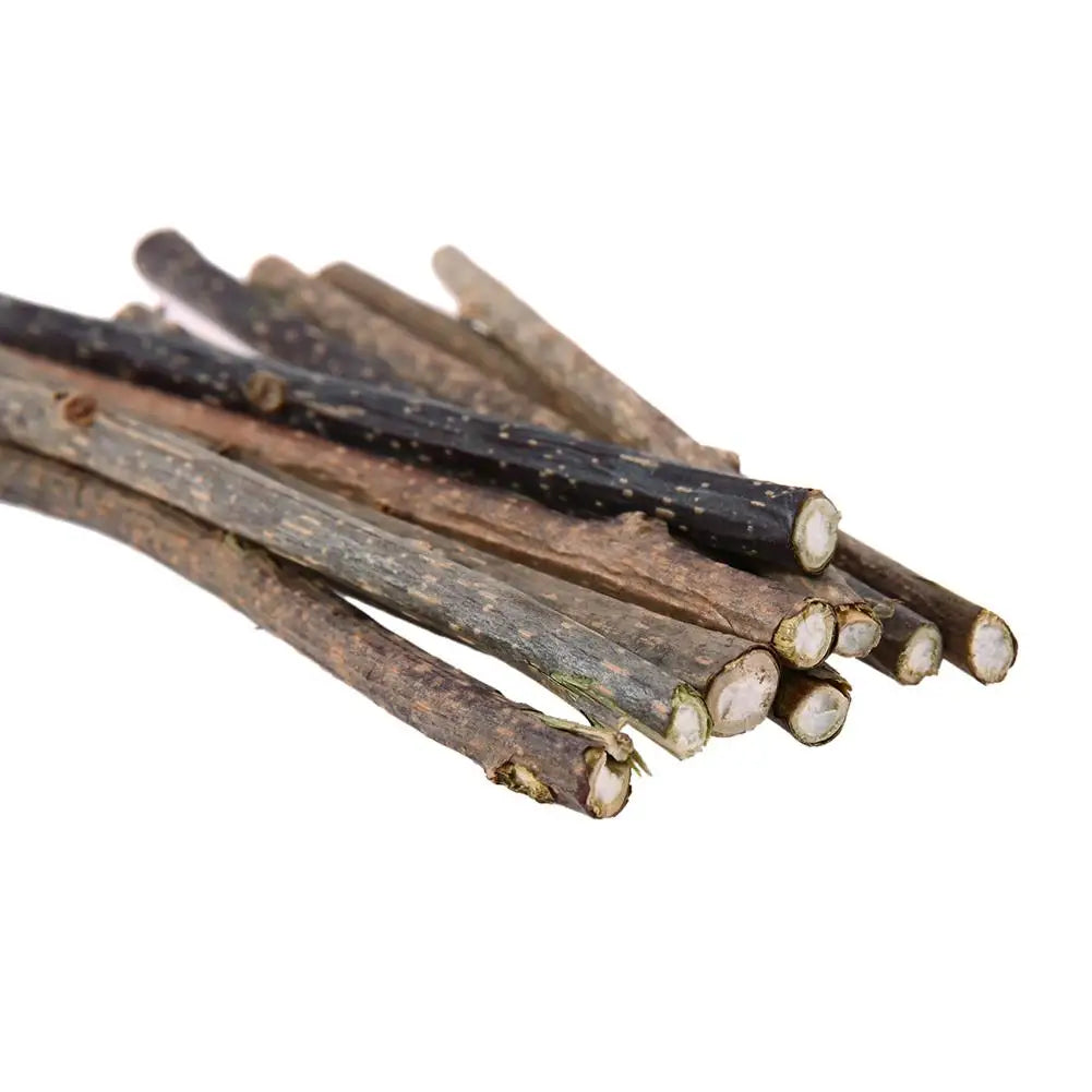 10Pcs Natural Catnip Cat Snacks Sticks Catnip Pet Cat Toys Silvervine Toothpaste Stick Cleaning Teeth tooth care