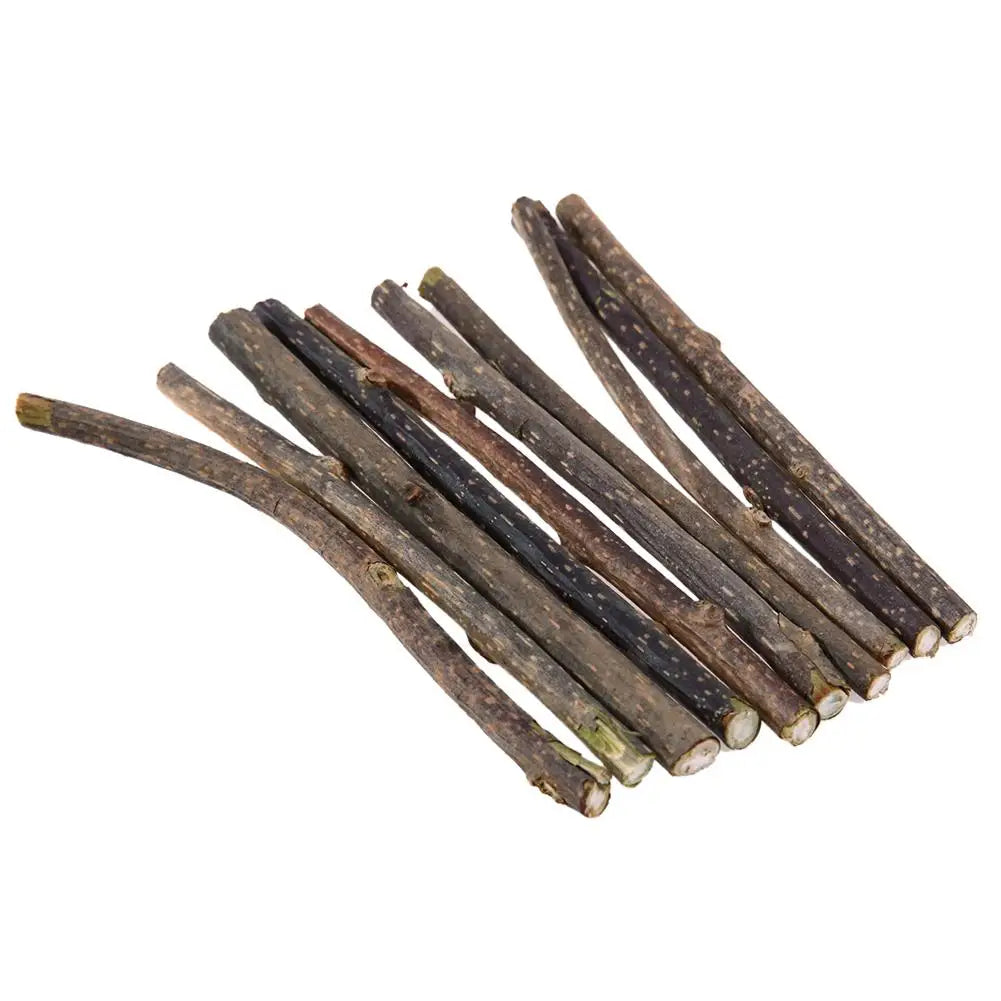 10Pcs Natural Catnip Cat Snacks Sticks Catnip Pet Cat Toys Silvervine Toothpaste Stick Cleaning Teeth tooth care