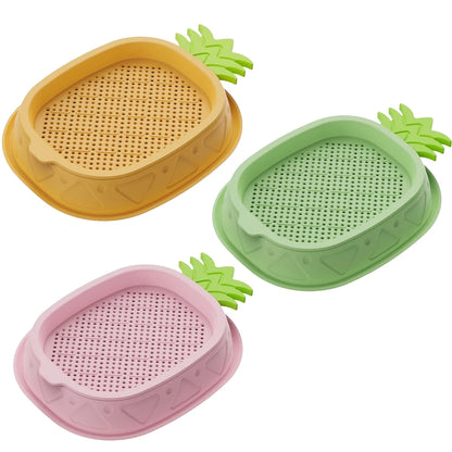 Hydroponic Cat Grass Planter Cat Grass Planter Tray Pineapple Design Plant Germination Tray Wheat Grass Growing Pot Nursery Cat