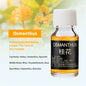 Car Air Freshener Diffuser Perfume Aromatherapy Essential Oil Bottle Car Pendant Perfume Skull Empty Bottle Aromatherapy Bottle