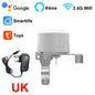 Tuya Smart WiFi Water Gas Valve ON/OFF Auto Control Timer DN15 DN20 Pipe Valve Support Alexa Google Assistant Remote Controller