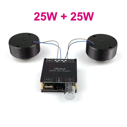 2*25W Audio Portable Resonance Vibration Speaker Bluetooth-Compatible DIY Stereo Class D Power Amplifier Subwoofer HiFi System