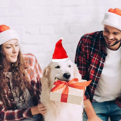 Dog Cat Christmas hat Clothes small hat Pet hat Christmas pet hat Christmas decorations