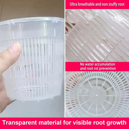 Net Basin Root-control Flowerpot Transparent Ground Basin Green Plant Orchid Breathable Growth Container Drainage Hole Flowerpot