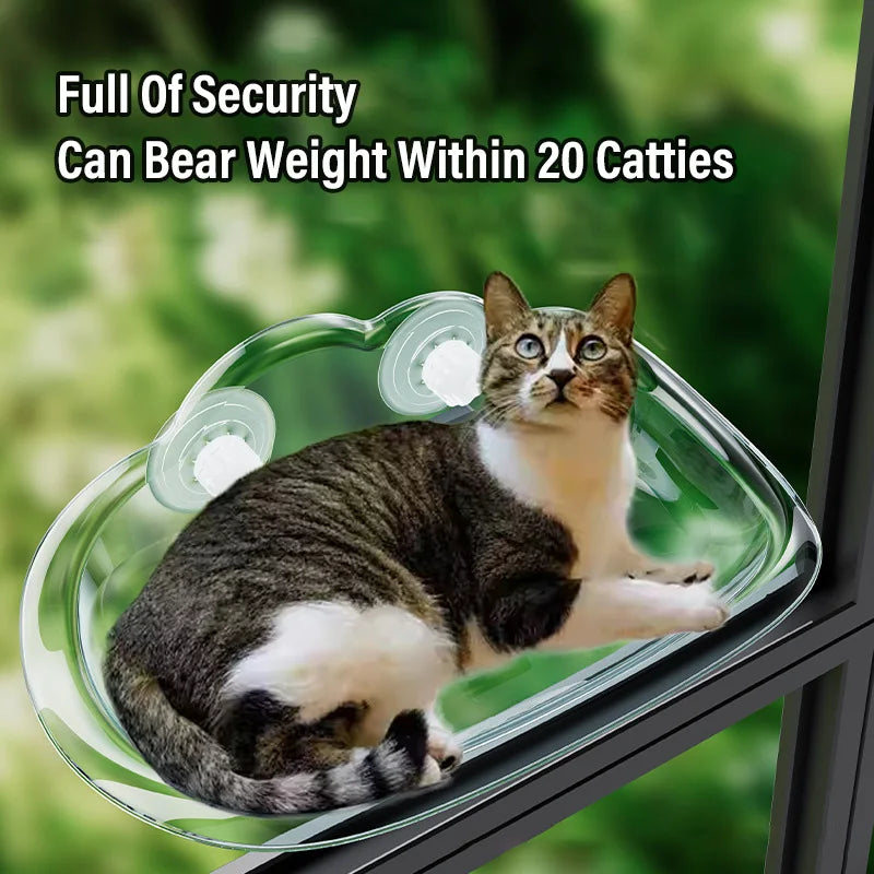 New Transparent Cloud Shape Cat Bed Strong Suction Cup Load Capacity 10KG Cat Climbing Frame Semi Open Cats Playing Pet Supplies