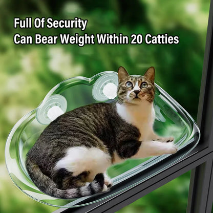 New Transparent Cloud Shape Cat Bed Strong Suction Cup Load Capacity 10KG Cat Climbing Frame Semi Open Cats Playing Pet Supplies