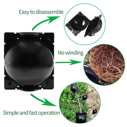 Plant Rooting Grow Ball Transplant Nursery Ball Sapling Propagation Grafting Breeding Reusable Case for Home Gardening Tools