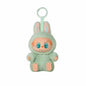 Genuine Spot Goods Pop Mart Labubu Heartbeat Macarons Vinyl Blind Box Plush V2 Toy For Kids Christmas Gift