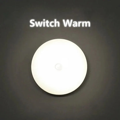 Human Intelligent Light Portable LED Night USB Charging Induction Emergency Bedside Cabinet WardrobeAutomatic Switch Lighting